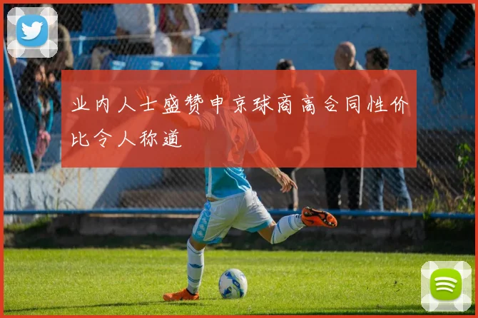 业内人士盛赞申京球商高合同性价比令人称道