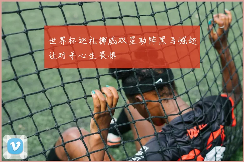 世界杯巡礼挪威双星助阵黑马崛起让对手心生畏惧